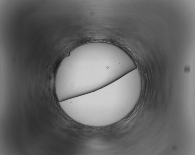 X0000103431251200809121028