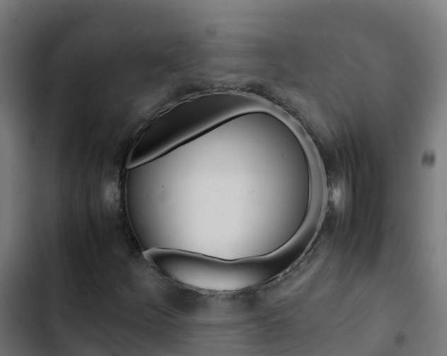 X0000103431252200809121028