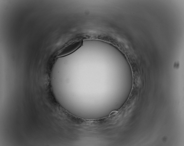 X0000103431253200809121028