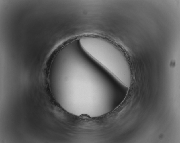 X0000103431256200809121028