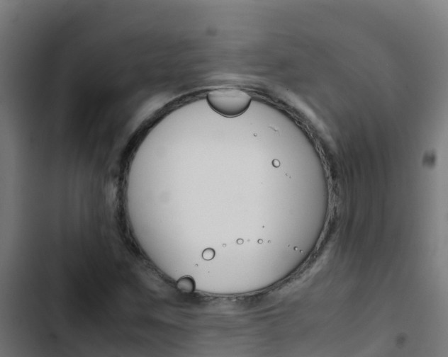 X0000103431259200809121028