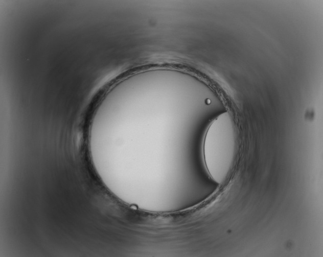 X0000103431261200809121028