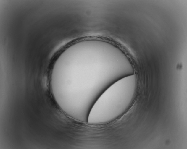 X0000103431262200809121028
