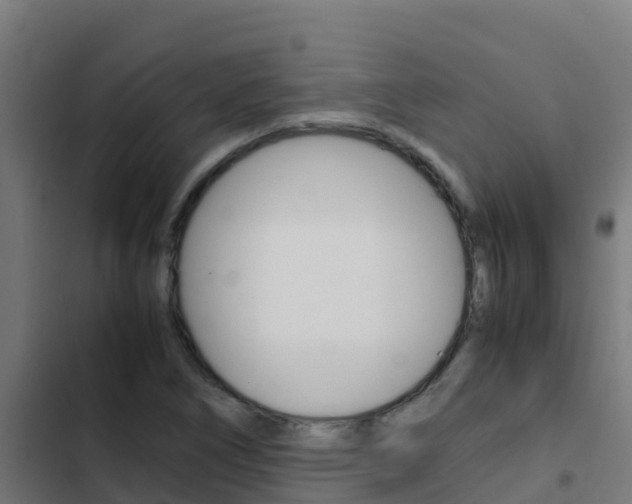 X0000103431266200809121028