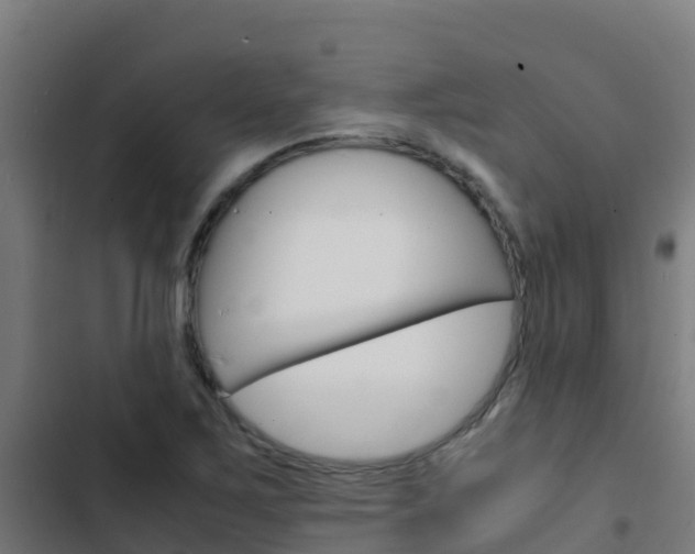 X0000103431267200809121028