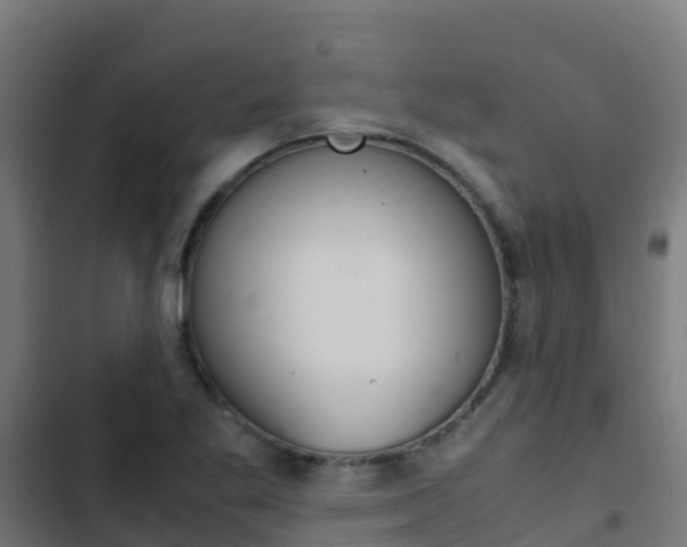 X0000103431269200809121028