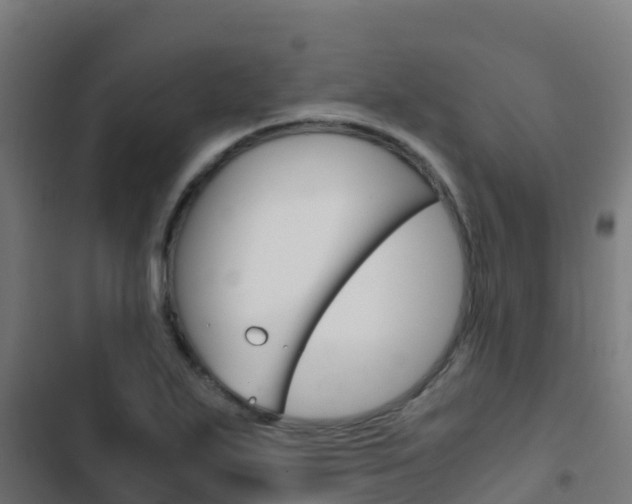 X0000103431271200809121028