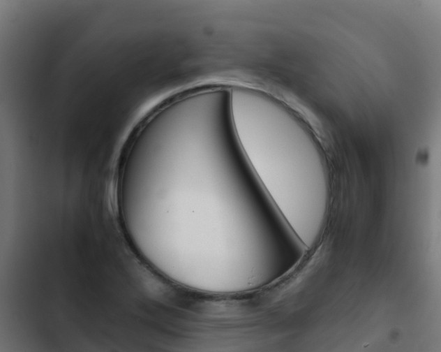 X0000103431272200809121028
