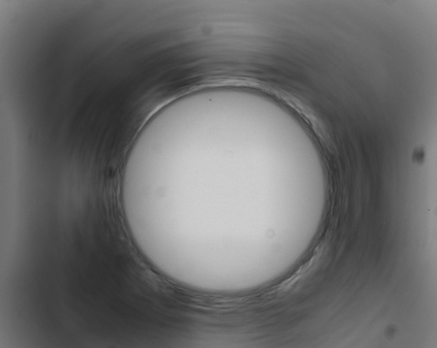 X0000103431273200809121028