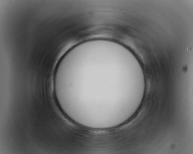 X0000103431274200809121028