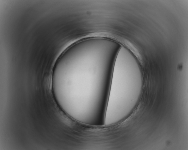 X0000103431276200809121028