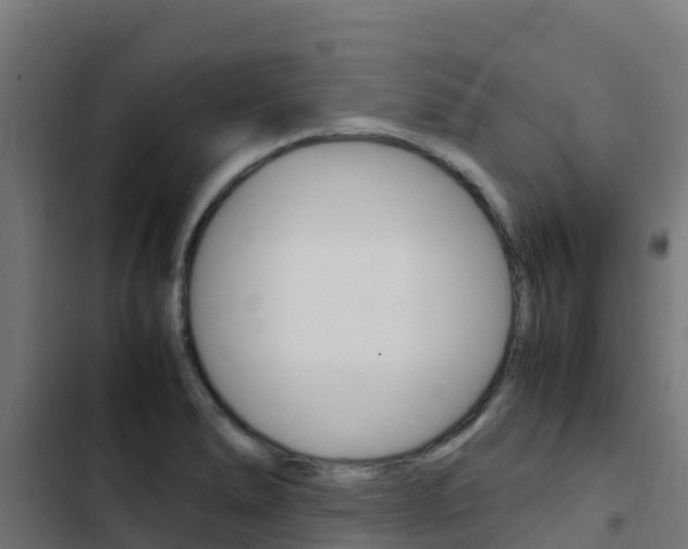 X0000103431278200809121027