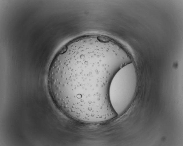 X0000103431279200809121027