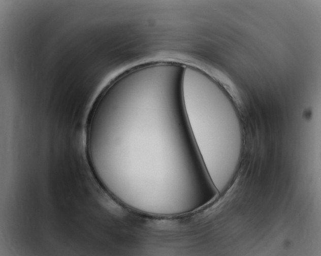 X0000103431280200809121027