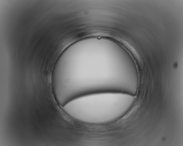 X0000103431281200809121027