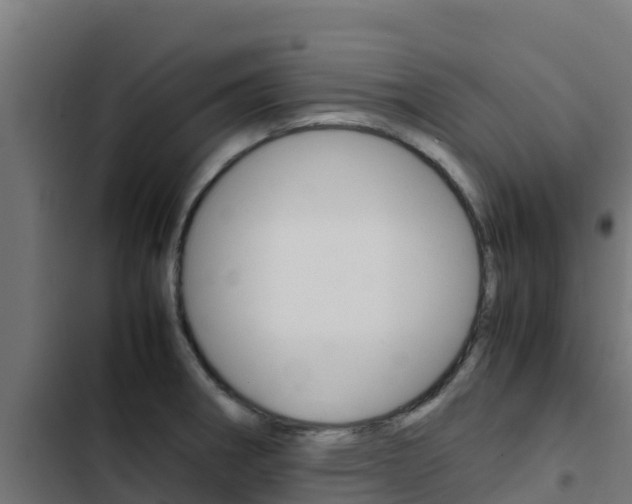 X0000103431282200809121027