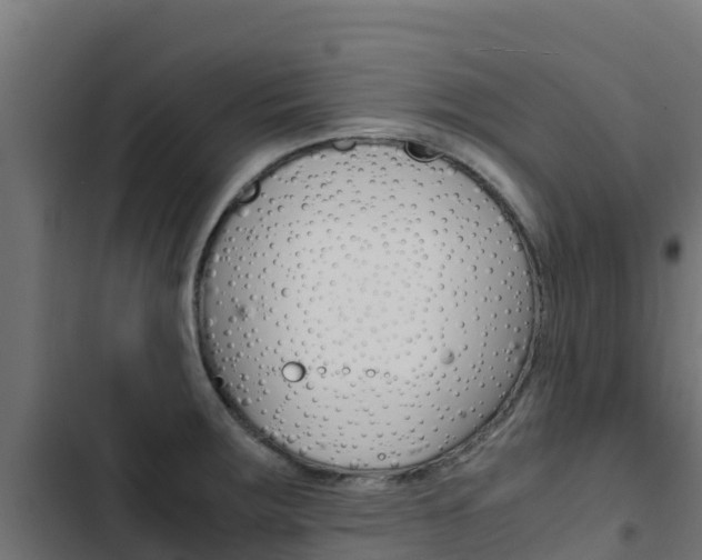 X0000103431283200809121027