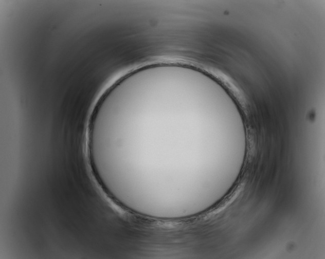 X0000103431286200809121027