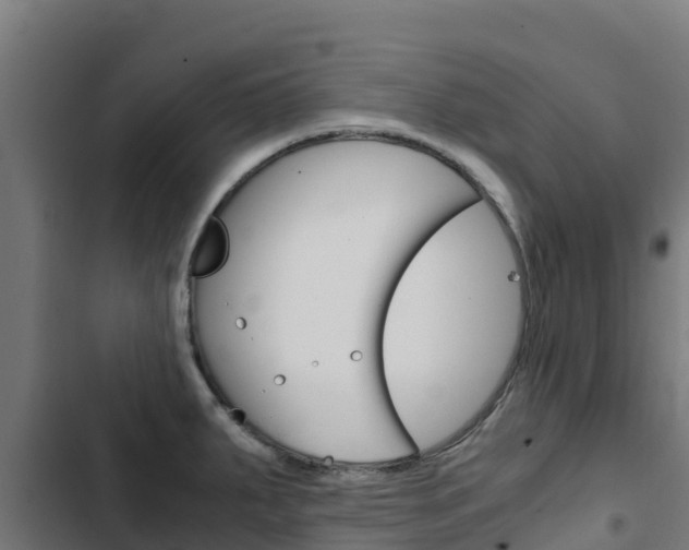 X0000103431287200809121027