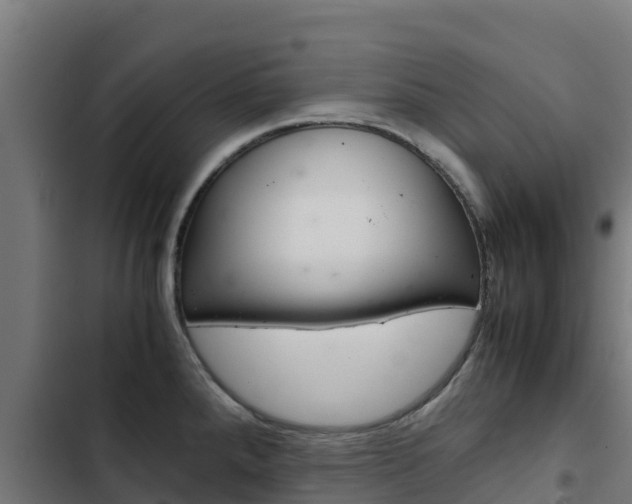 X0000103431288200809121027