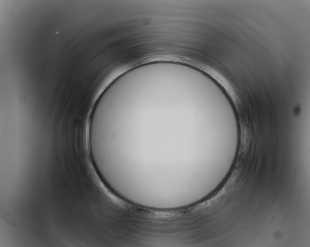 X0000103431290200809121027