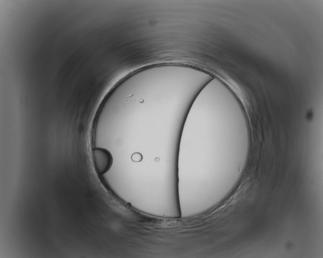 X0000103431291200809121027