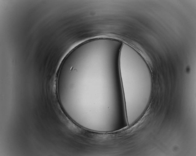 X0000103431292200809121027
