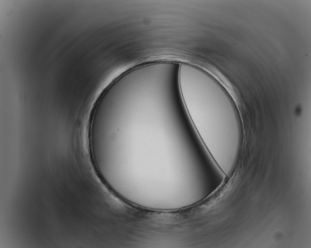 X0000103431293200809121027