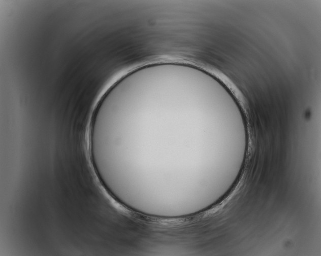 X0000103431294200809121027