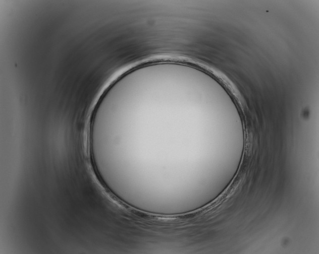 X0000103431295200809121027