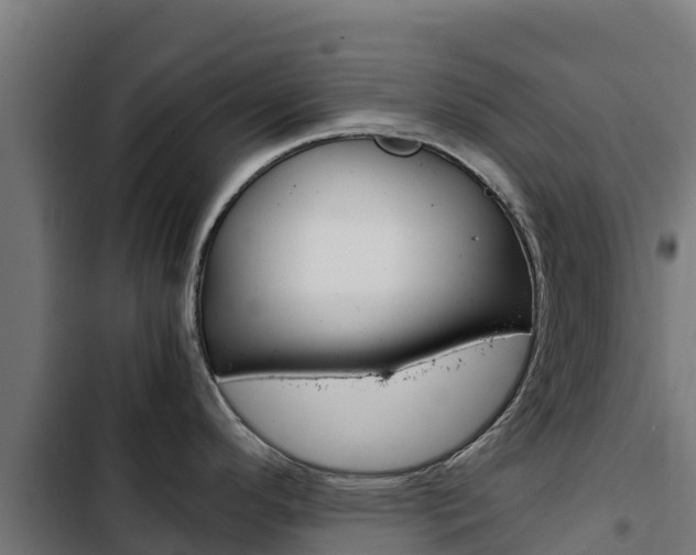 X0000103431296200809121027