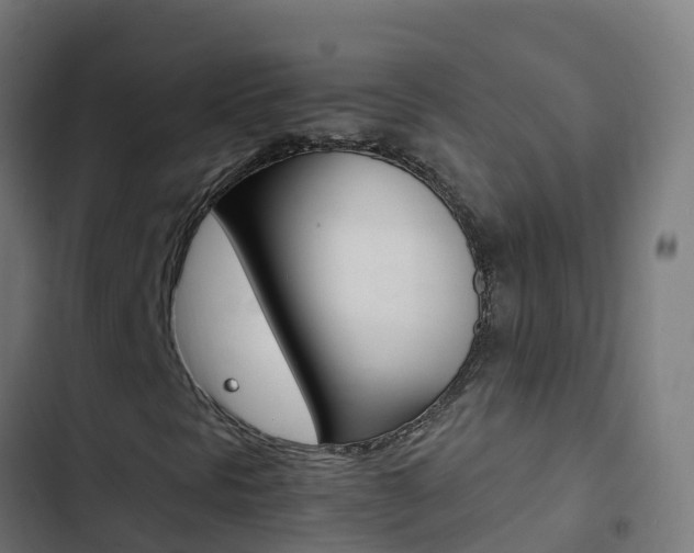 X0000103431297200809121027