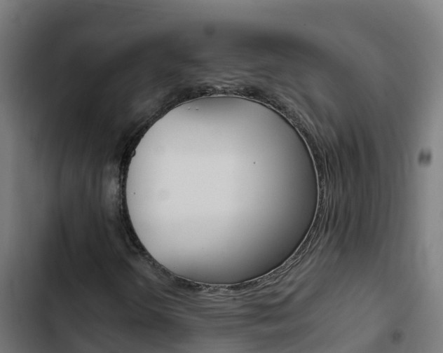 X0000103431298200809121027