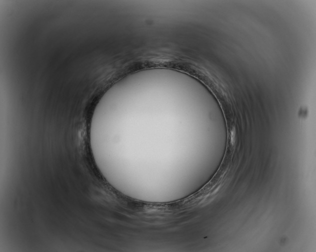 X0000103431299200809121027