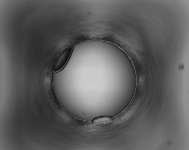 X0000103431300200809121027
