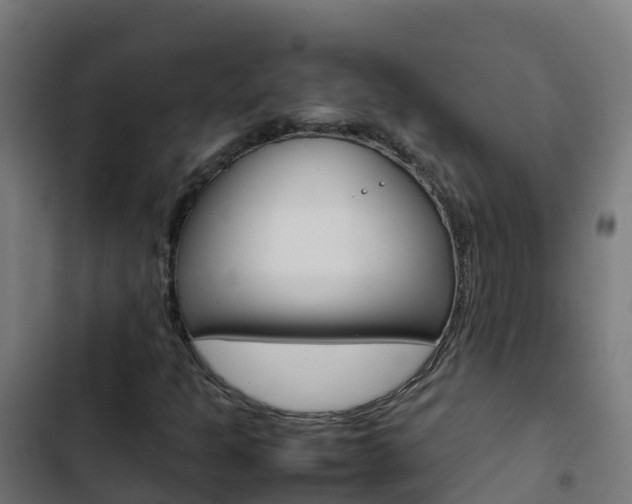 X0000103431301200809121027