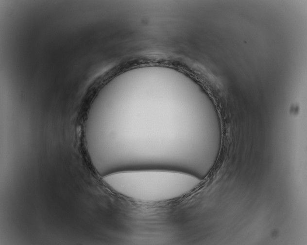 X0000103431302200809121027