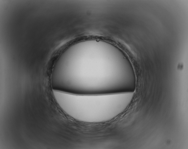 X0000103431303200809121027