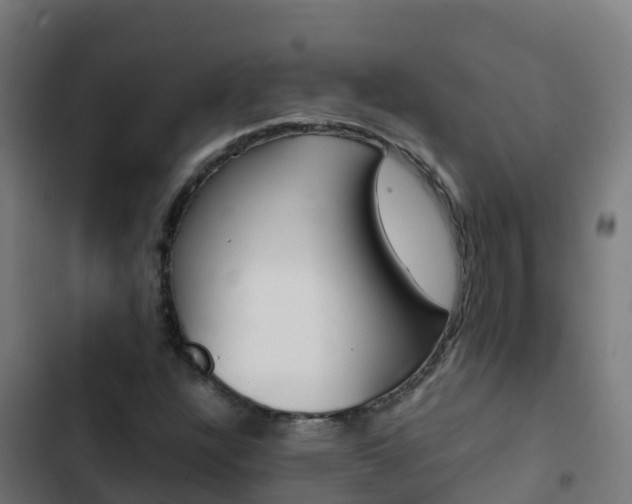 X0000103431304200809121027