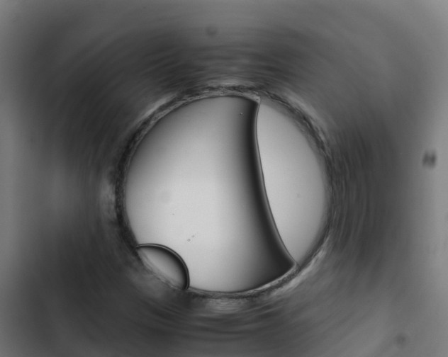 X0000103431305200809121027