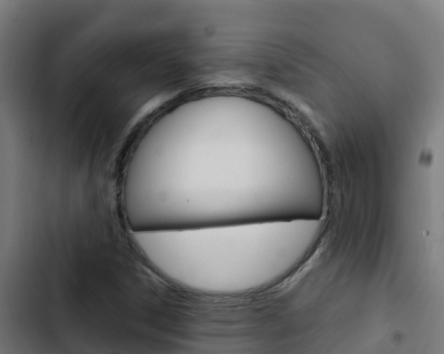 X0000103431306200809121027