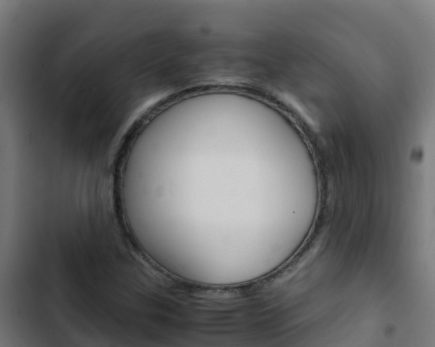X0000103431307200809121027