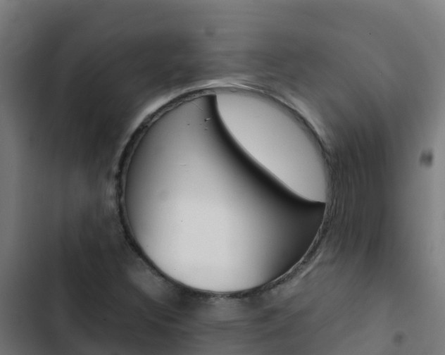 X0000103431308200809121027