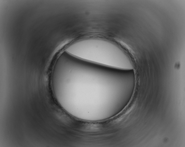 X0000103431309200809121027