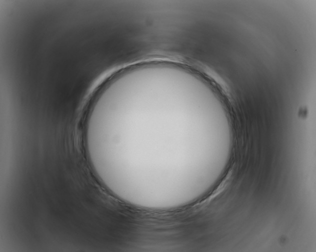X0000103431310200809121027