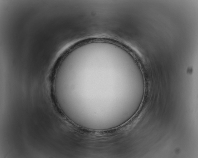 X0000103431311200809121027