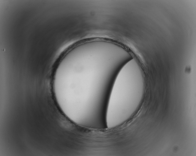 X0000103431312200809121027