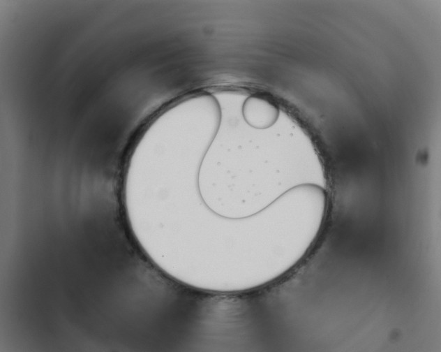 X0000103431314200809121027