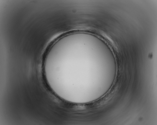 X0000103431315200809121027