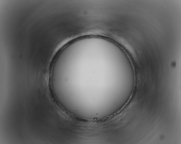 X0000103431316200809121027